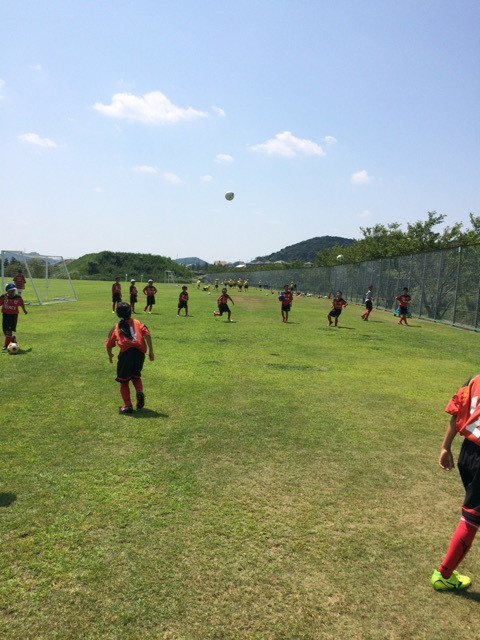 {23DF0F21-DCB6-4901-8E2C-A04AEAD9584B}