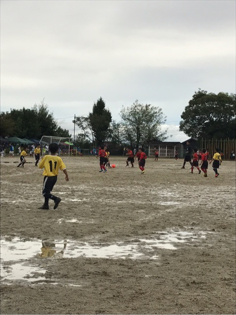 {0817D118-8DD4-4E7E-8E02-B1DBC257B9CF}