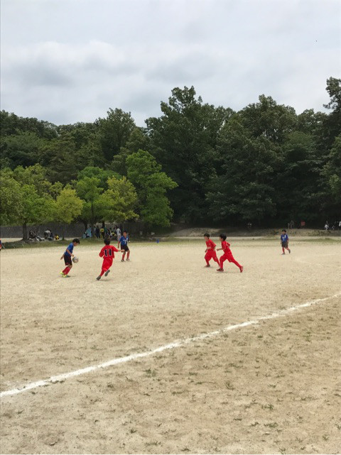 {D6DE09E6-C764-4E64-9EB2-582F7EDBD801}